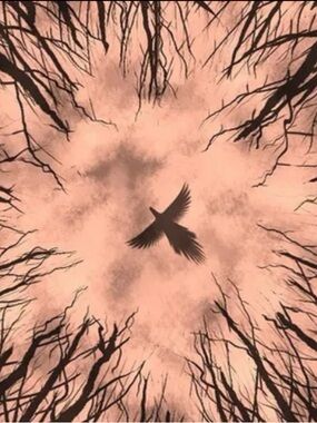 Wrangler Blues Wide Hem Women’s Jeans